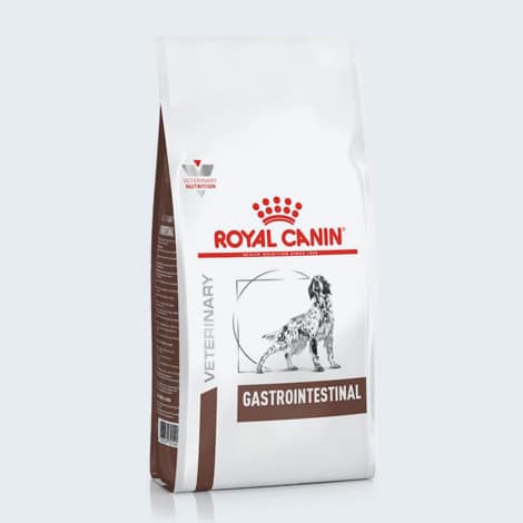 Croquettes Gastrointestinal Royal Canin pour chien