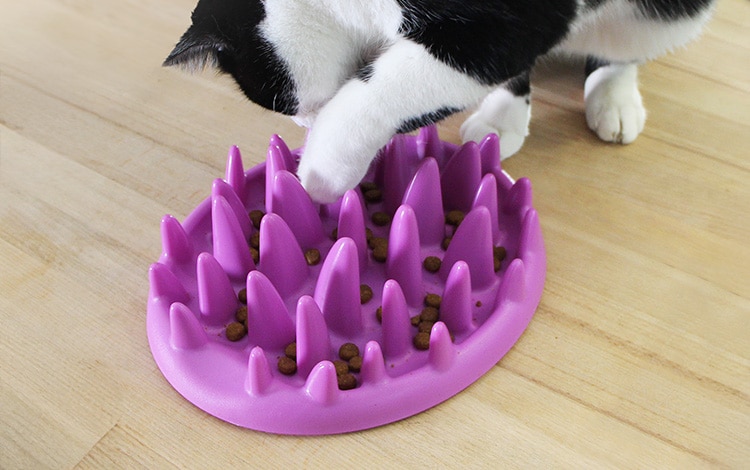 Gamelle anti-glouton avec picots pour chat