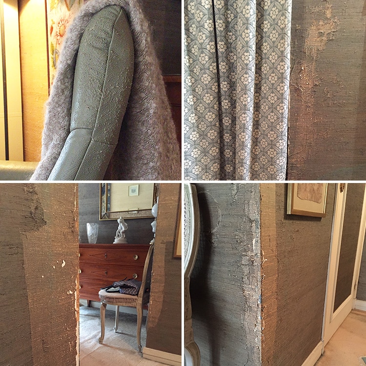 Mon chat griffe partout dans mon appartement, sur les murs et le canapé