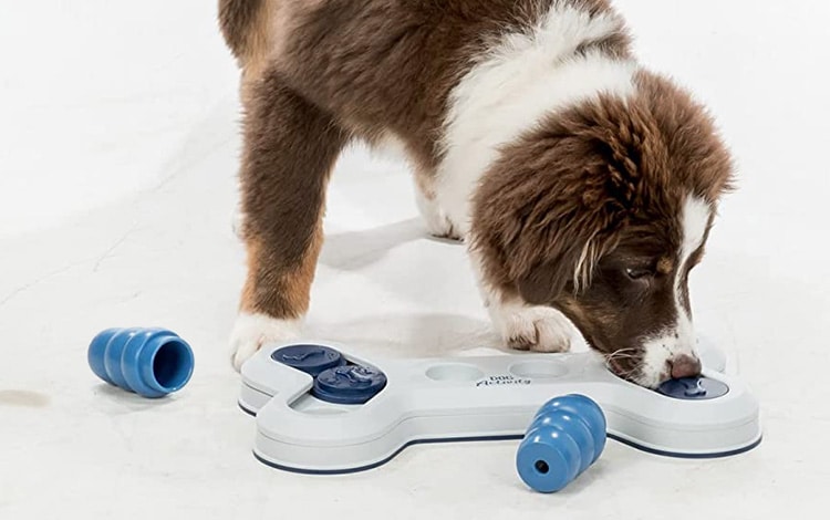 Jeu d'intelligence Dog Activity pour chien