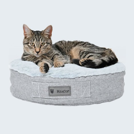 Matelas ou coussin à mémoire de forme pour chat souffrant d'arthrose