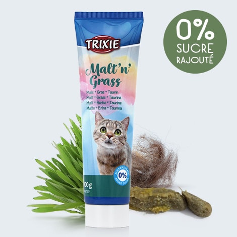 Pâte anti-boule de poils pour le chat