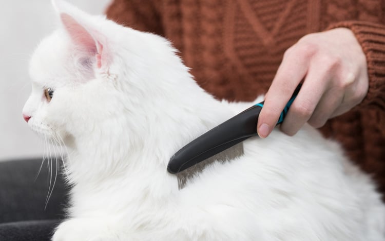 Peigne anti-puces, anti-tique et anti-boule de poils pour chat