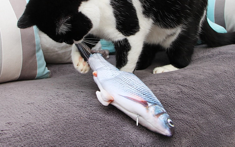 Poisson interactif qui bouge tout seul