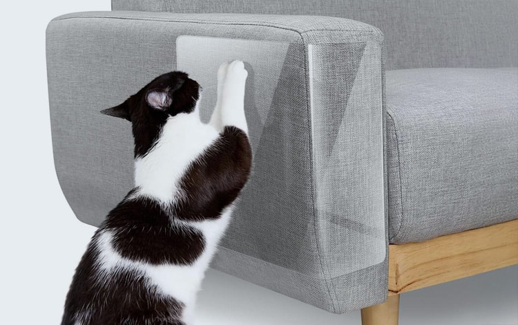 Protecteur de canapé contre les griffades du chat