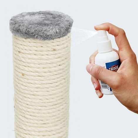 Spray d'herbe à chat cataire Trixie pour chat qui fait ses griffes