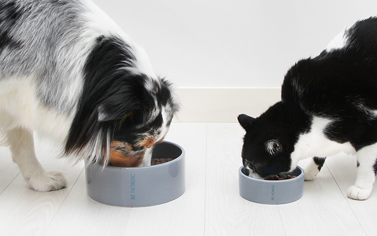 Avis et analyse vétérinaire des croquettes et de la pâtée Ultra Premium Direct pour le chat et le chien