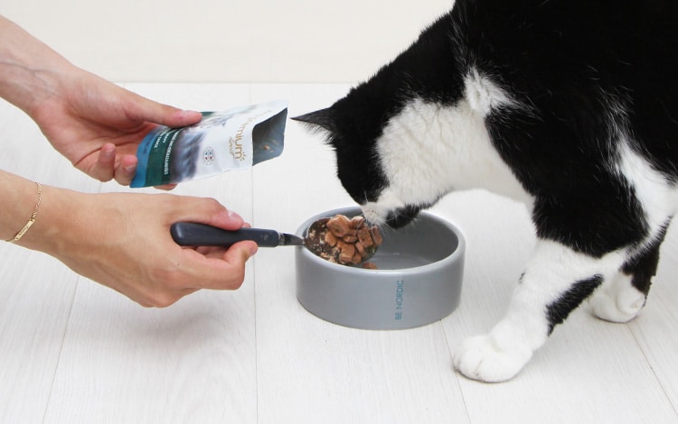 Avis et analyse vétérinaire des croquettes et de la pâtée Ultra Premium Direct pour le chat et le chien