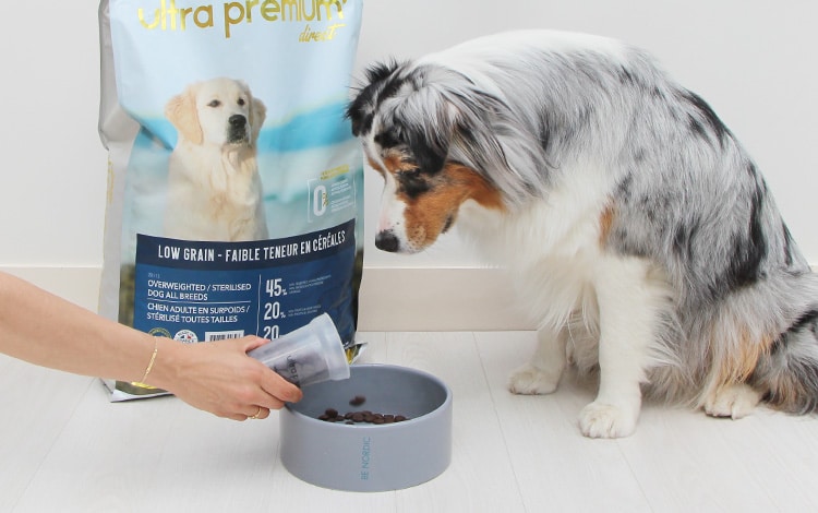 Avis et analyse vétérinaire des croquettes et de la pâtée Ultra Premium Direct pour le chat et le chien