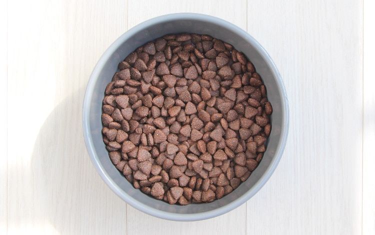 Avis et analyse vétérinaire des croquettes et de la pâtée Ultra Premium Direct pour le chat et le chien