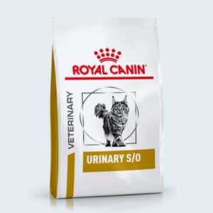 Urinary s/o de Royal Canin pour les problèmes urinaires chez le chat