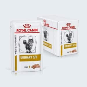 Urinary s/o de Royal Canin en pâtée pour les problèmes urinaires chez le chat