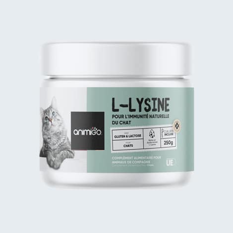 L-Lysine en traitement du coryza chez le chat