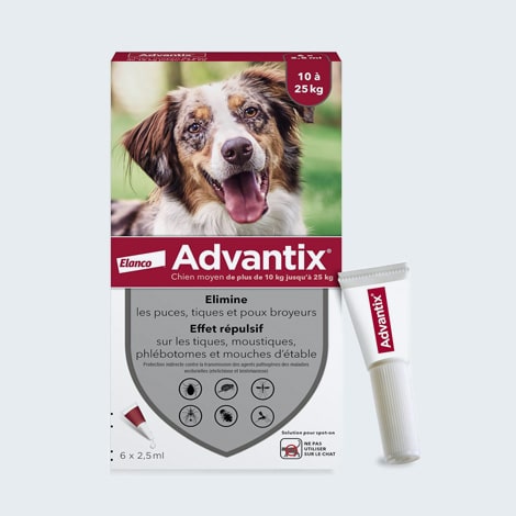 Anti puce, tique et aoutat Advantix pour le chien