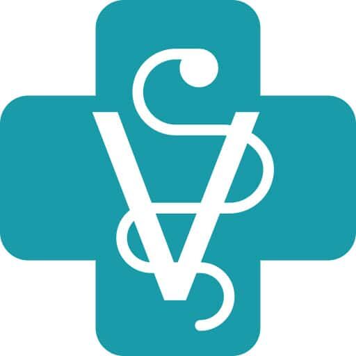 Conseil vétérinaire chat et chien en photos