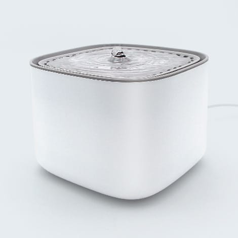 Fontaine à eau pour chat malade