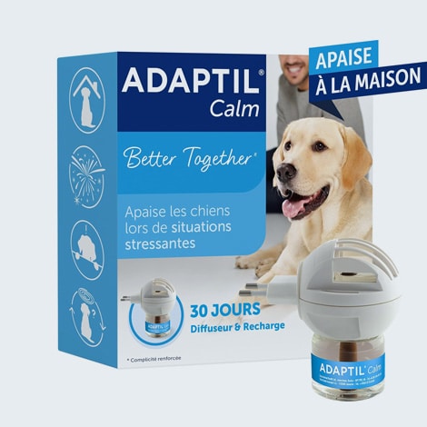 Diffuseur de phéromones d'apaisement pour chien Adaptil
