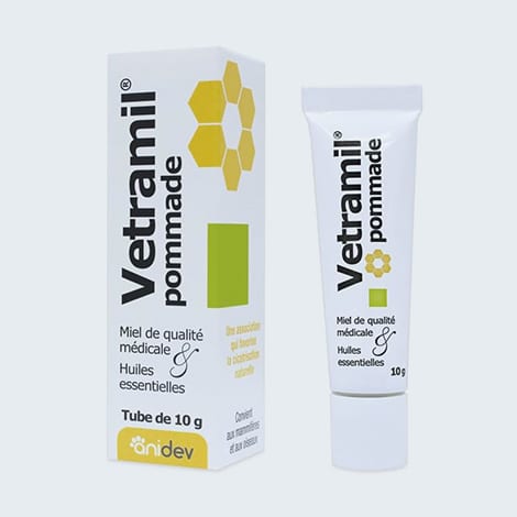 Pommade pour le coude chez le chien sujet à l'hygroma