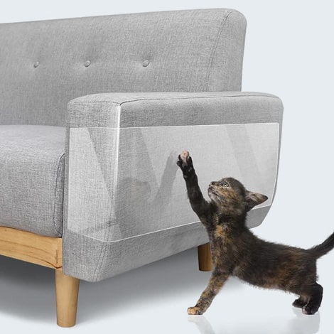 Protège griffes pour canapé pour chat
