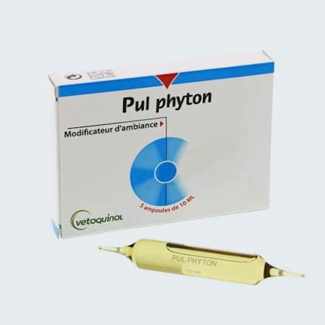 pul Phyron contre le coryza chez le chat