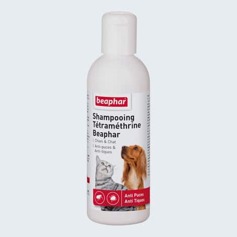 Shampoing anti puce, tique et aoutat Beaphar pour chat et chien