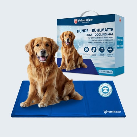 Tapis rafraichissant pour chien sujet à l'hygroma du coude