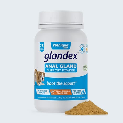 Traitement Glandex pour la vidange des glandes anales du chat et chien