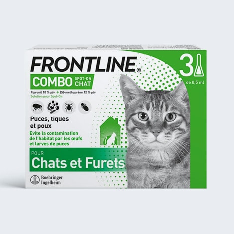 Frontline Combo en traitement des puces, tiques, aoûtats, cheyletiellose chez le chat