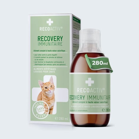 Aliment liquide Recovery pour chat malade