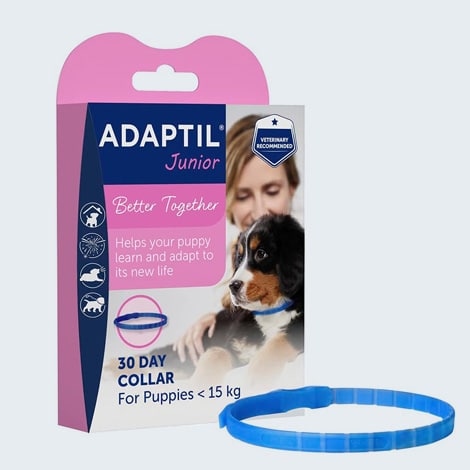 Collier Adaptil junior pour chiot avec problèmes de comportement