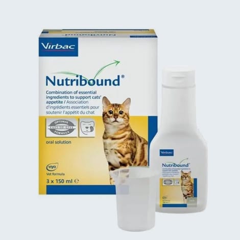 Complément alimentaire Nutribound pour stimuler la prise alimentaire chez le chat cancéreux