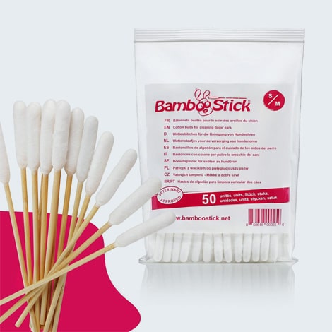 Coton-tige pour oreilles du chat et chien