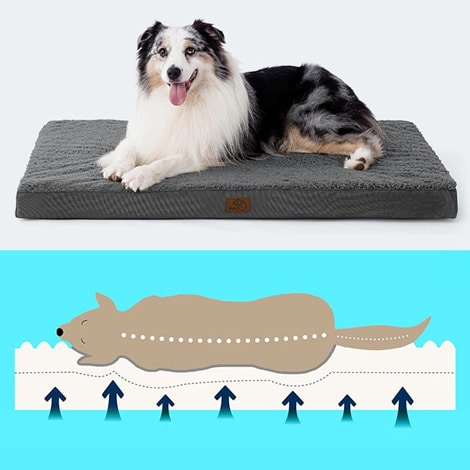 Coussin orthopédique à mémoire de forme pour chien