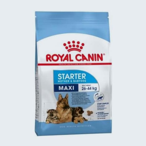 Croquettes pour chienne en gestation et chiots