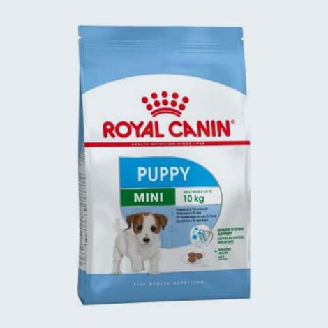 Croquettes pour chiots