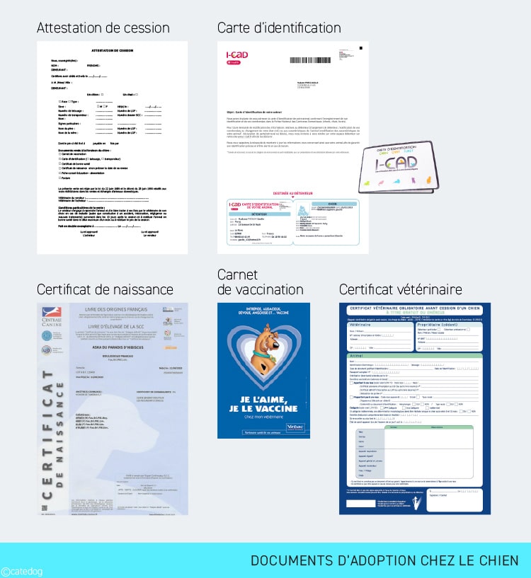 Documents d'adoption du cihne