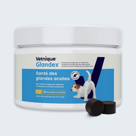Complément alimentaire Glandex pour les glandes anales du chien
