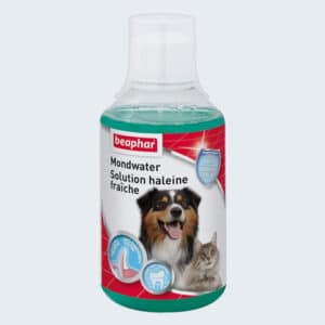 Solution liquide pour nettoyer les dents du chien et chat Beaphar