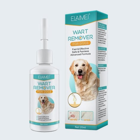 Traitement anti verrue pour chien