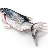 Poisson qui bouge pour chat