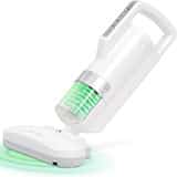 Aspirateur anti-acariens chez le chat asthmatique