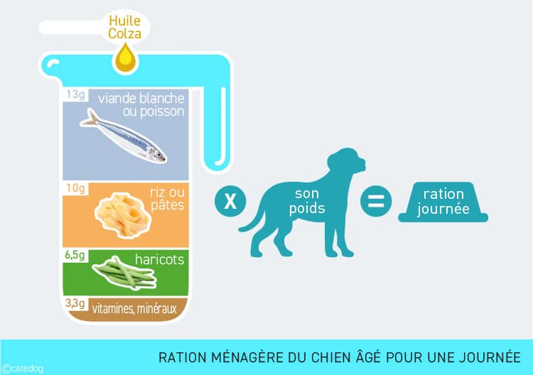 Ration ménagère du chien âgé