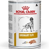 Alimentation pour les maladies urinaires chez le chien