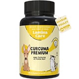 Curcuma pour chien et chat